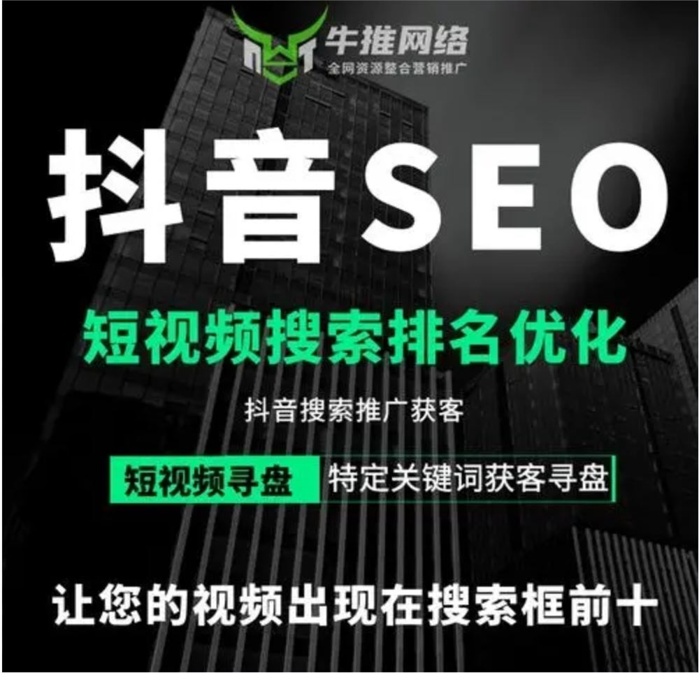 抖音seo视频排名优化：零基础短视频搜索引擎排名系列课