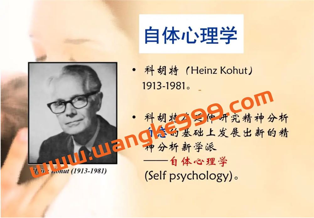 卢林-科胡特自体心理学理论和临床实践